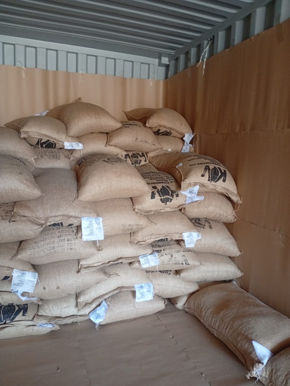 Jute sacks of Ugandan cocoa loaded in an export container