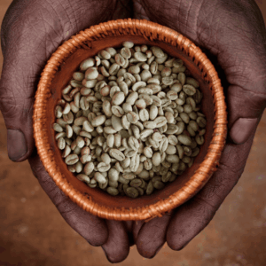 Yirgacheffe (Washed)