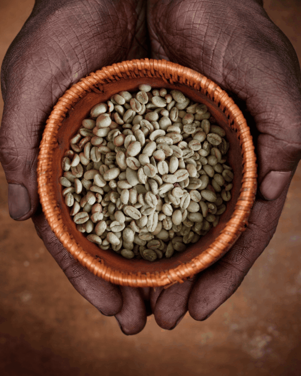 Yirgacheffe (Washed)